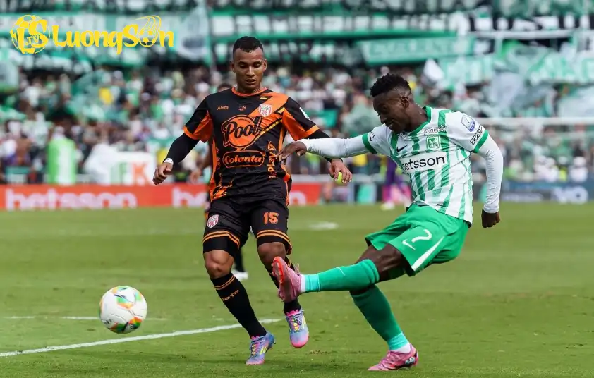 Envigado được dự đoán sẽ giành chiến thắng tối thiểu trước Aguilas Envigado được dự đoán sẽ giành chiến thắng tối thiểu trước Aguilas