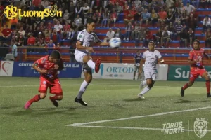 ed6mbrrwwaaldgqjpglarge 225009