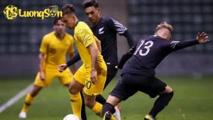 nz announcement 185505