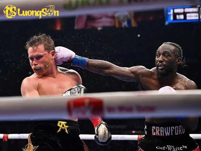 Canelo Alvarez chấp nhận thất bại đau đớn trước Terence Crawford Canelo Alvarez chấp nhận thất bại đau đớn trước Terence Crawford