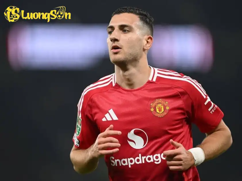 Dalot vẫn là cái tên sở hữu kinh nghiệm dày dạn Dalot vẫn là cái tên sở hữu kinh nghiệm dày dạn