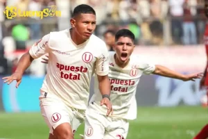 572247930 18536557186001217 8329 690c796baa77d