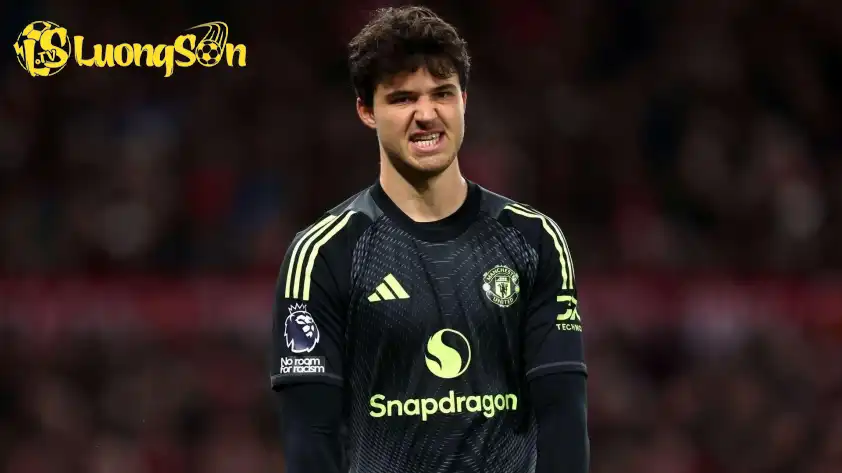 Anh cũng dành những lời khen cho HLV Amorim và các đồng đội Anh cũng dành những lời khen cho HLV Amorim và các đồng đội